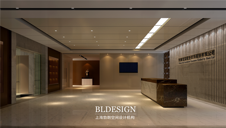 寰亞投資擔(dān)保有限公司辦公設(shè)計(jì)-接待大廳