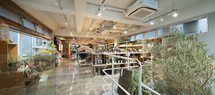 三層復合式生活商店設計案例