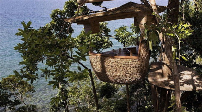 鳥(niǎo)巢一般的樹(shù)屋