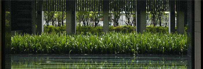 會所景觀綠化設(shè)計示意圖