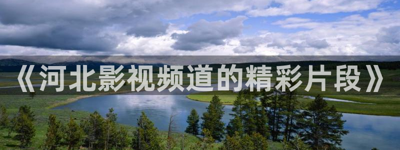 樱花影视免费看电视剧