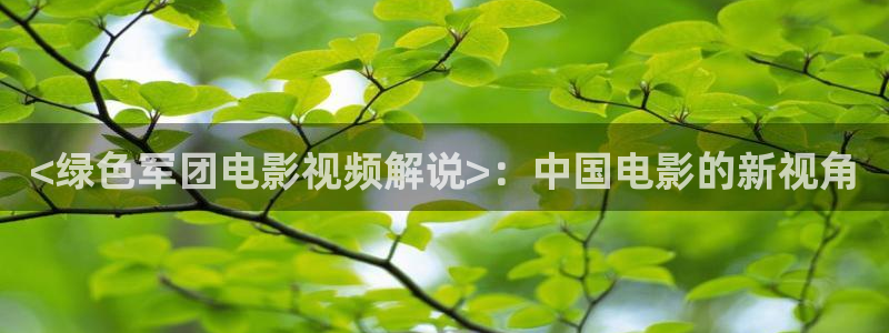 樱花视频免费动漫