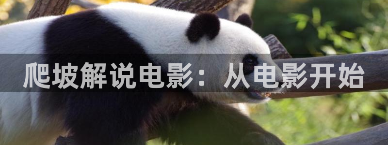 樱花视频在线观看高清