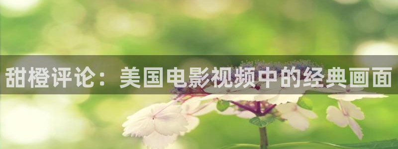 樱花影视院在线观看电视剧