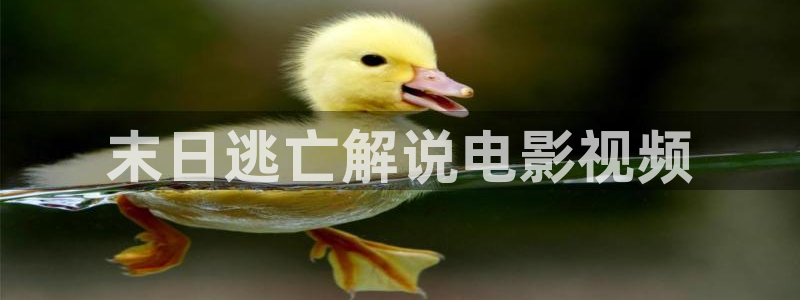 樱花影视在线观看免费