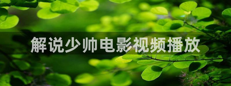 樱花视频免费动漫