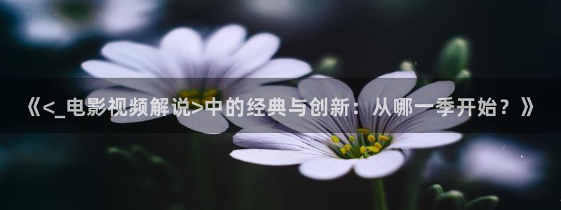 y樱花视频