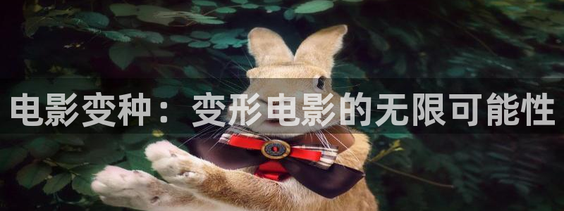 樱花影视社区