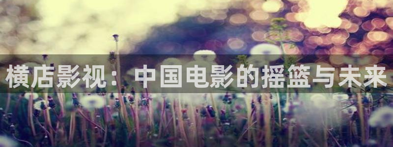 樱花视频免费观看电视剧动漫