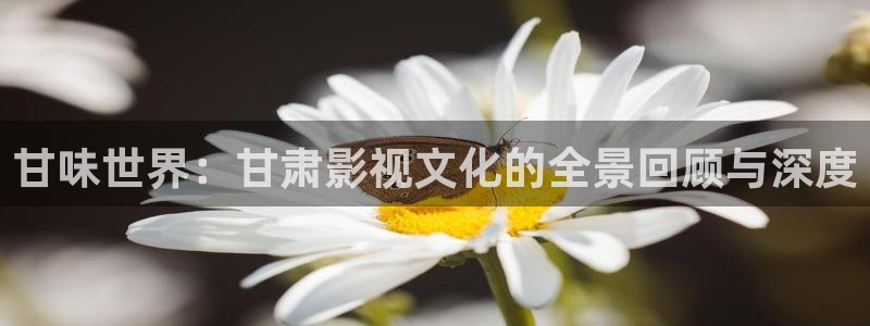 樱花影院在线观看高清电视剧免费
