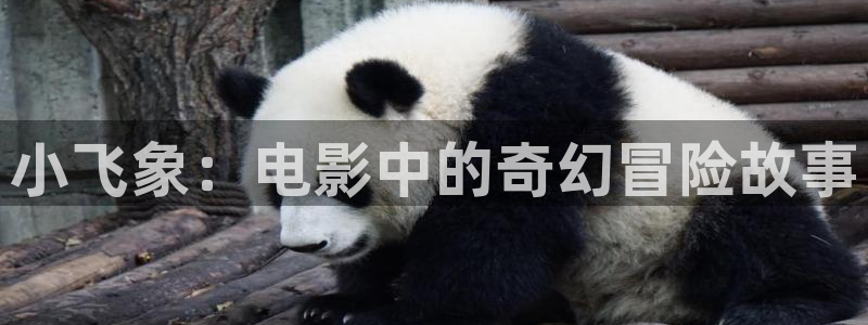 樱花视频色