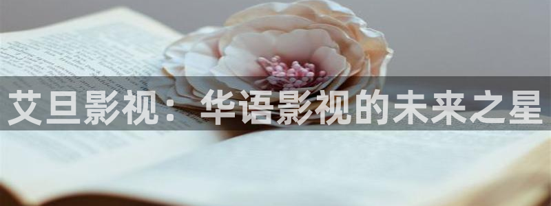 樱花视频4