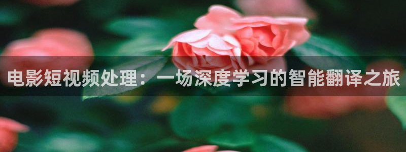 樱花影院高清电影