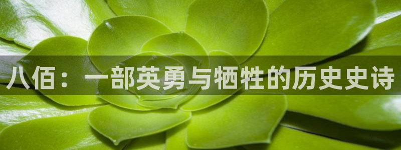 樱花视频在线观看免费观看
