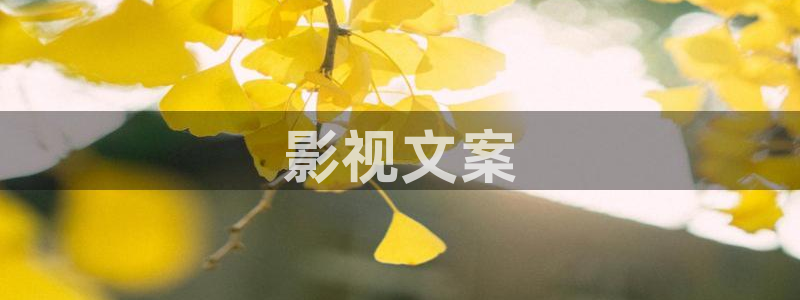 樱花影院电视剧免费中文
