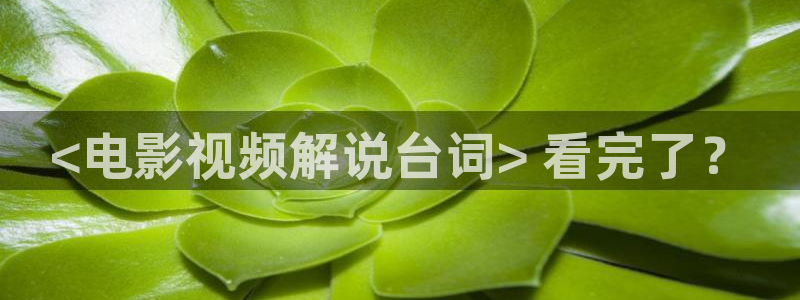 樱花影院电视剧在线观看