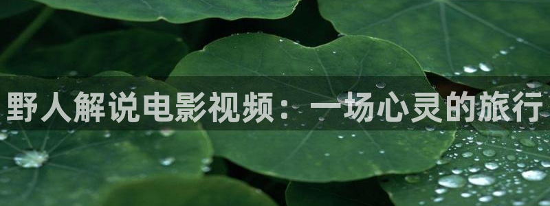 《樱花视频》