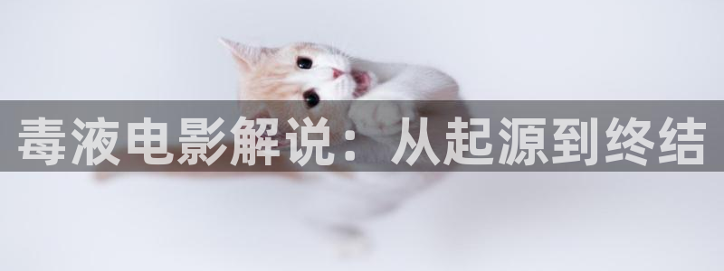 樱花影院高清电影好看的电视剧