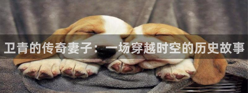 樱花视频免费完整版在线观看