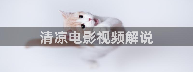 樱花视频app入口