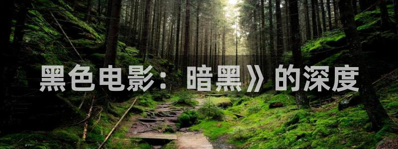 小樱花视频在线