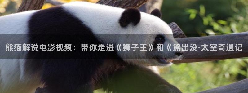 樱花视频在线播放免费观看电视剧的