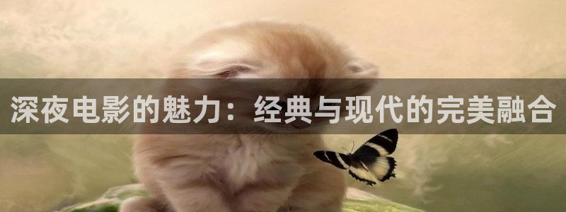 樱花视频网站在线观看