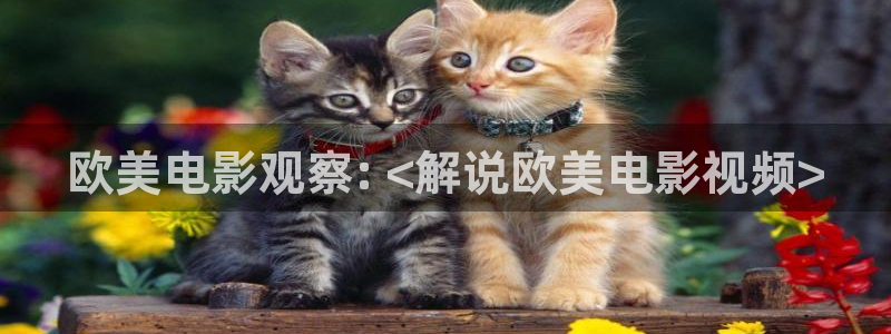 樱花视频大全高清