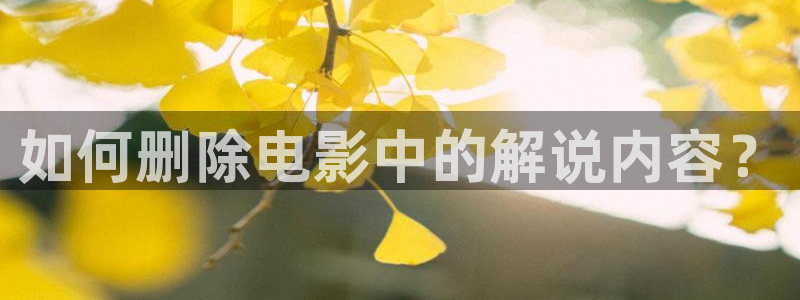 4138yy旧里番樱花影院