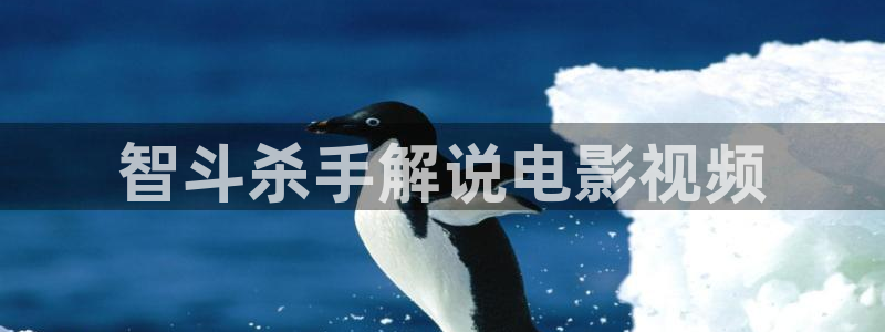 樱花视频在线观看高清电视剧