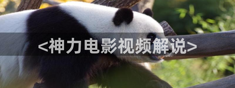 樱花影视电影免费观看全集