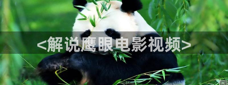 樱花影视在线免费观看