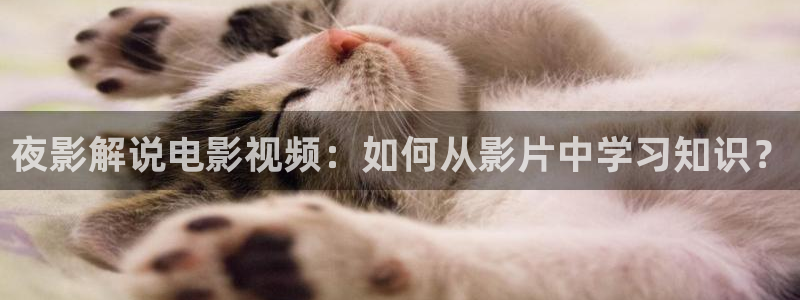 樱花影视视频