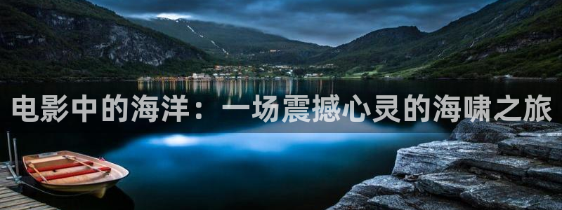 樱花视频专注