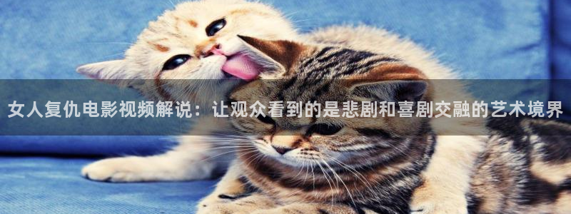 樱花影视大全免费看电视剧最新