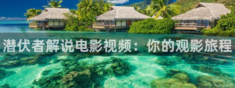樱花影视最新高清