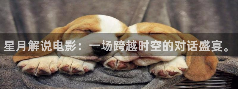 樱花视频 黄