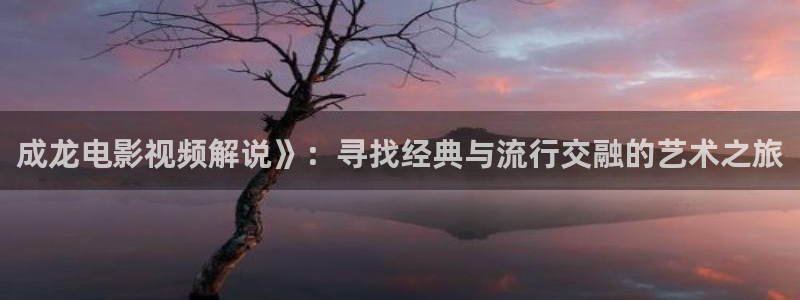 樱花视频老版本：成龙电影视频解说》：寻找经典与流行交融的艺术之旅