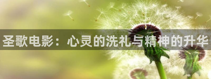 樱花视频动漫