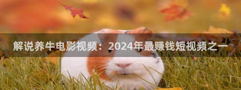 樱花视频美女版