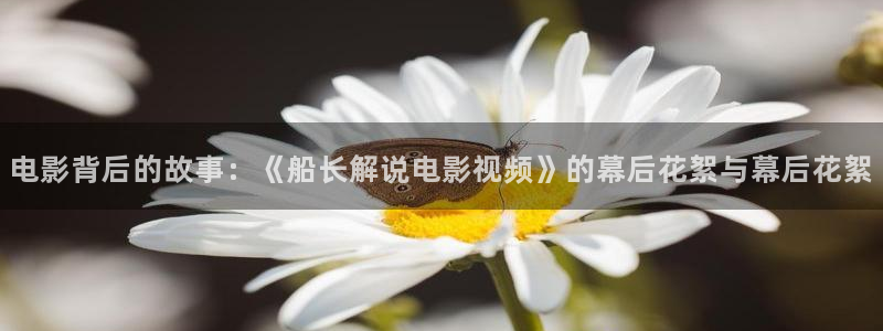 日韩樱花视频在线观看
