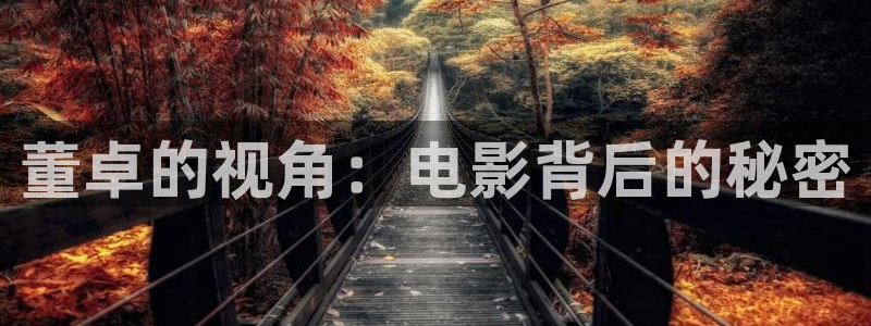 下载一个樱花视频