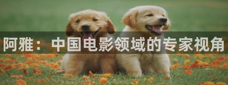 樱花视频在线观看电视剧高清