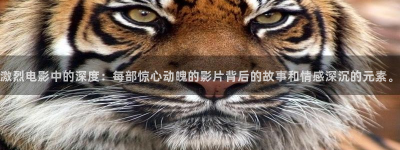 樱花影视在线免费观看