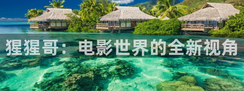 樱花影视剧