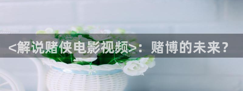 樱花视频wwww