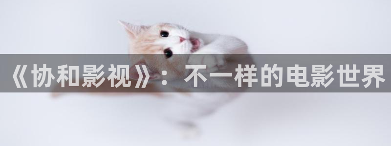 观看樱花视频