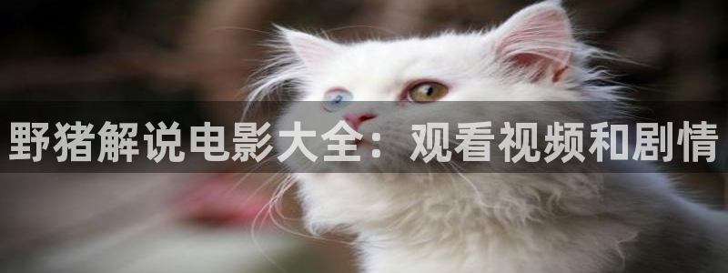 樱花视频主页