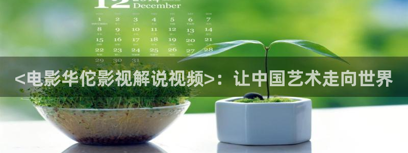 樱花视频免费高清在线观看